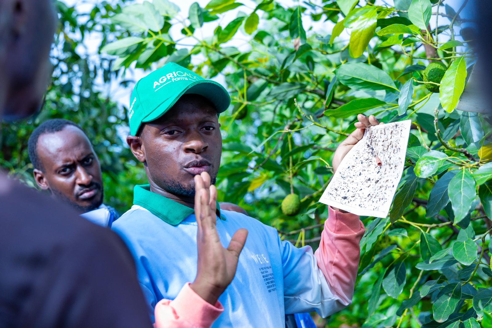 Agricultural Training