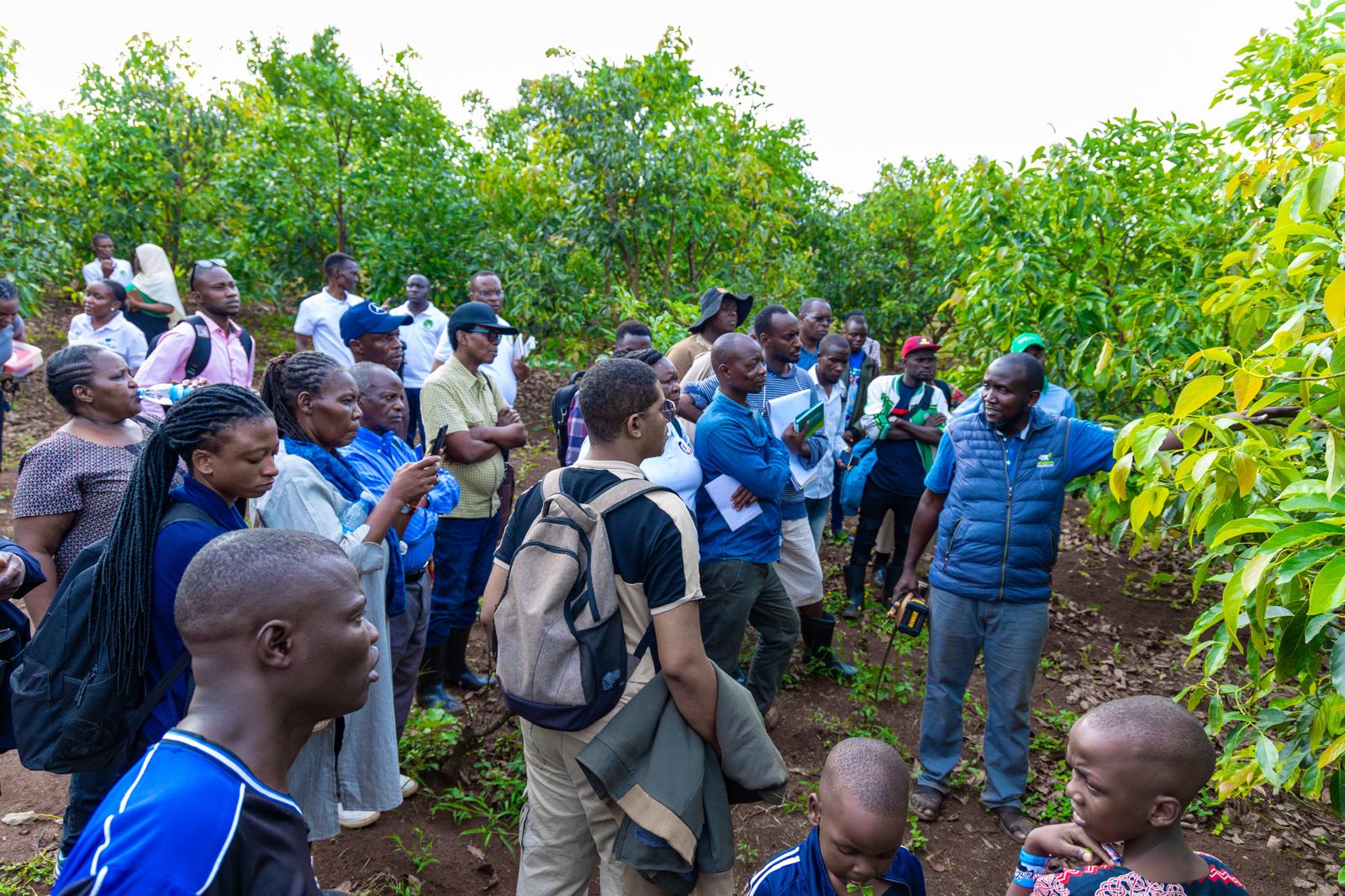 Successful Training Program Graduates 50 Smallholder Farmers